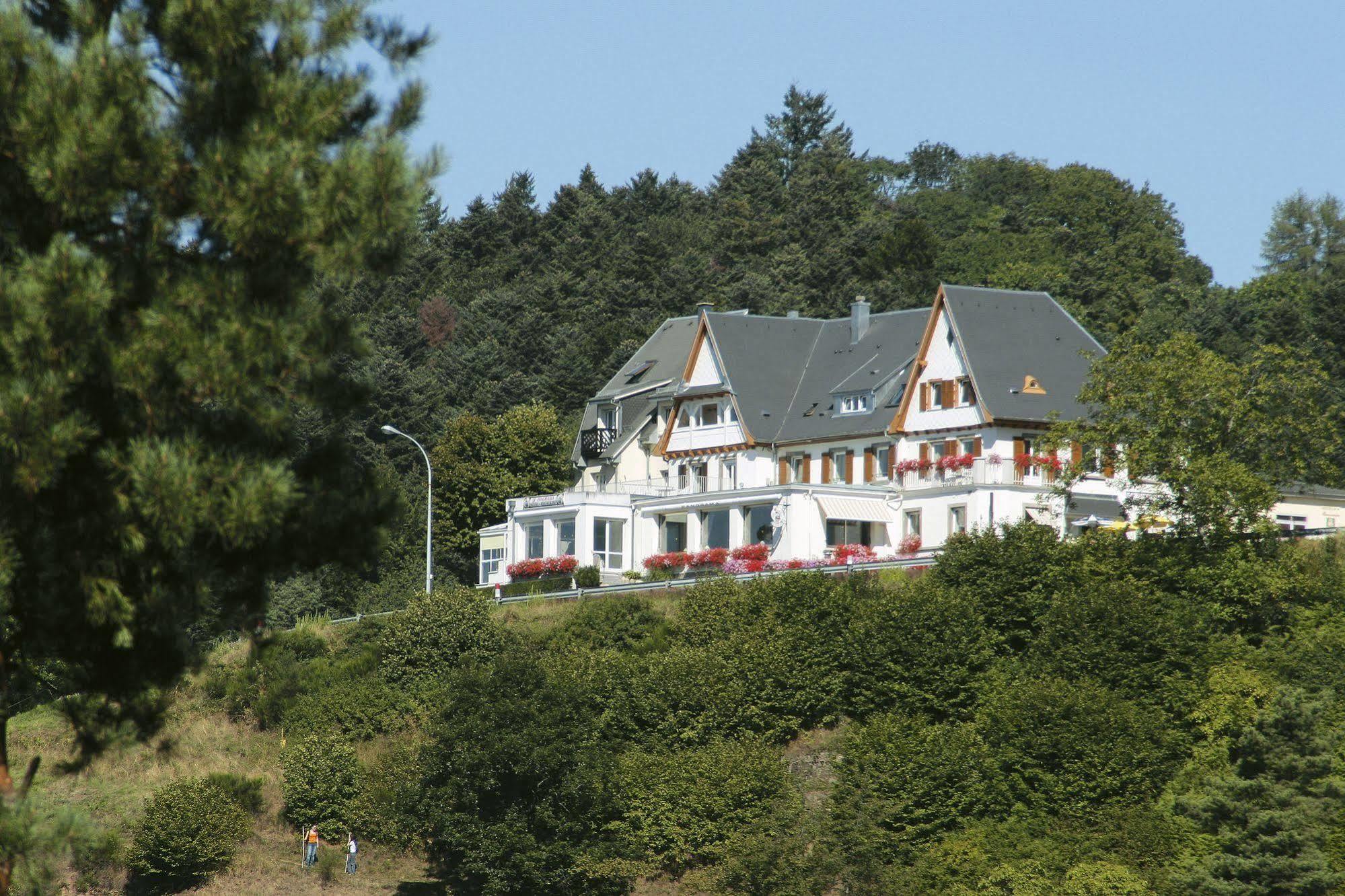 Hotel Panorama Мюнстер Экстерьер фото
